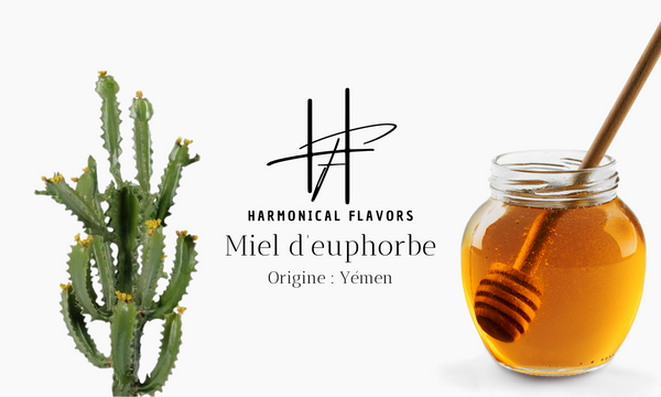 Miel d’Euphorbe (Darghmous) – 250 g | Saveur Unique & Vertus Naturelles
