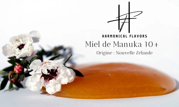 Miel de Manuka 10+ (NPA 10+/MGO 263+) – 240 g | Pouvoir Antibactérien & Soin Naturel Premium Harmonical Flavors