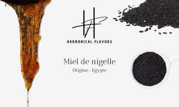 Miel de Nigelle d’Égypte – 250 g | Puissance Naturelle & Bienfaits Ancestraux Harmonical Flavors