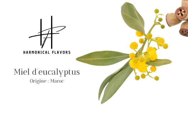 Miel d’Eucalyptus du Maroc – 250 g | Saveur Intense & Bienfaits Naturels