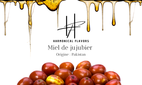 Miel de Jujubier du Pakistan – 250 g | Nectar Rare & Précieux, Pureté Exceptionnelle et Vertus Remarquables