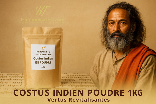 COSTUS INDIEN EN POUDRE - Produit Actif