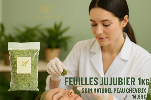 FEUILLES DE JUJUBIER - Produit Actif