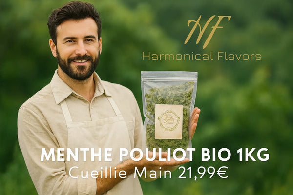 HERBES MÉDICINALES BIO 16-20 Harmonical Flavors