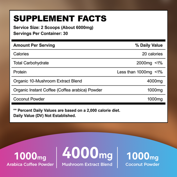 Organic Mushroom Coffee 300g | Café Bio Halal Boost Énergie Concentration