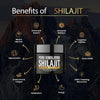 Shilajit Pure Himalayan 50g | Force Maximum Énergie Ancestrale Harmonical Flavors