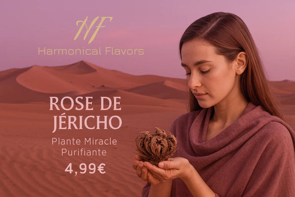 ROSE DE JÉRICHO - Produit Actif