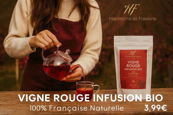 VIGNE ROUGE INFUSION BIO - Produit Individuel