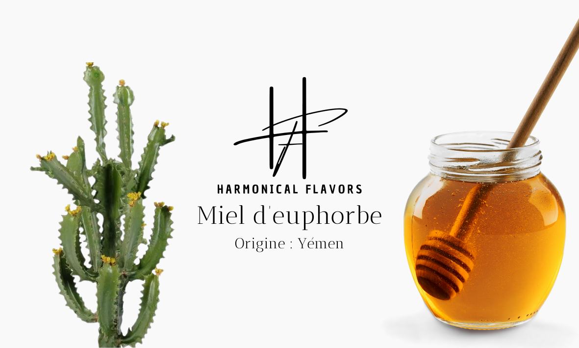 Miel d'Euphorbe (Darghmous) 250g