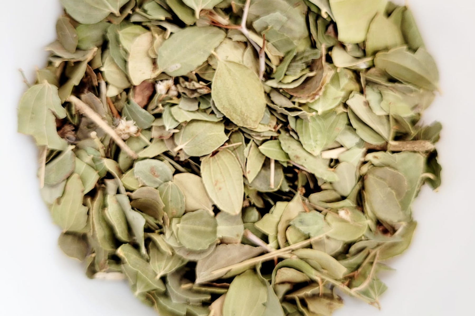 Feuilles de Jujubier 1 kg – Propriétés Antibactériennes, Antioxydantes & Cicatrisation | Soin Naturel Peau, Cuir Chevelu & Digestion
