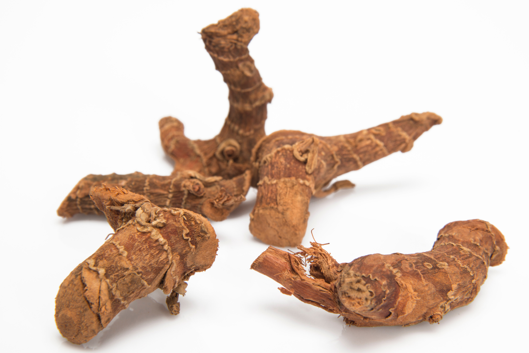 Galanga – Racine Séchée 1 kg | Anti-inflammatoire, Tonique Digestif & Antioxydant Naturel
