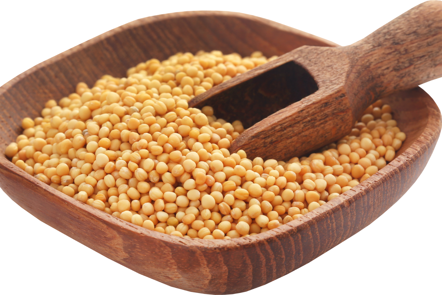 Moutarde en Grains – 1 kg | Saveur Intense & Qualité Naturelle Supérieure