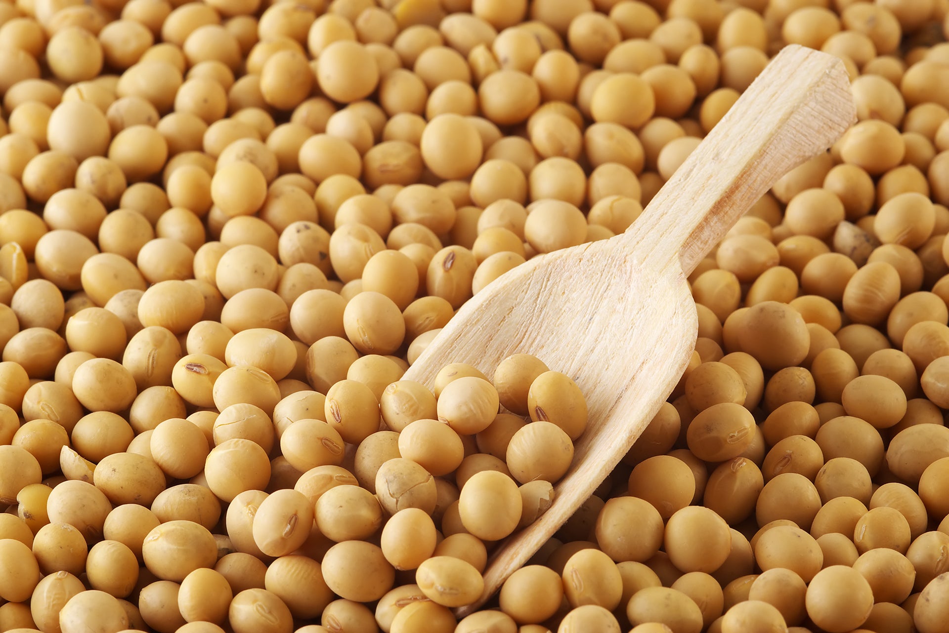 Graines de Soja – 1 kg | Source Naturelle de Protéines & Nutriments Essentiels