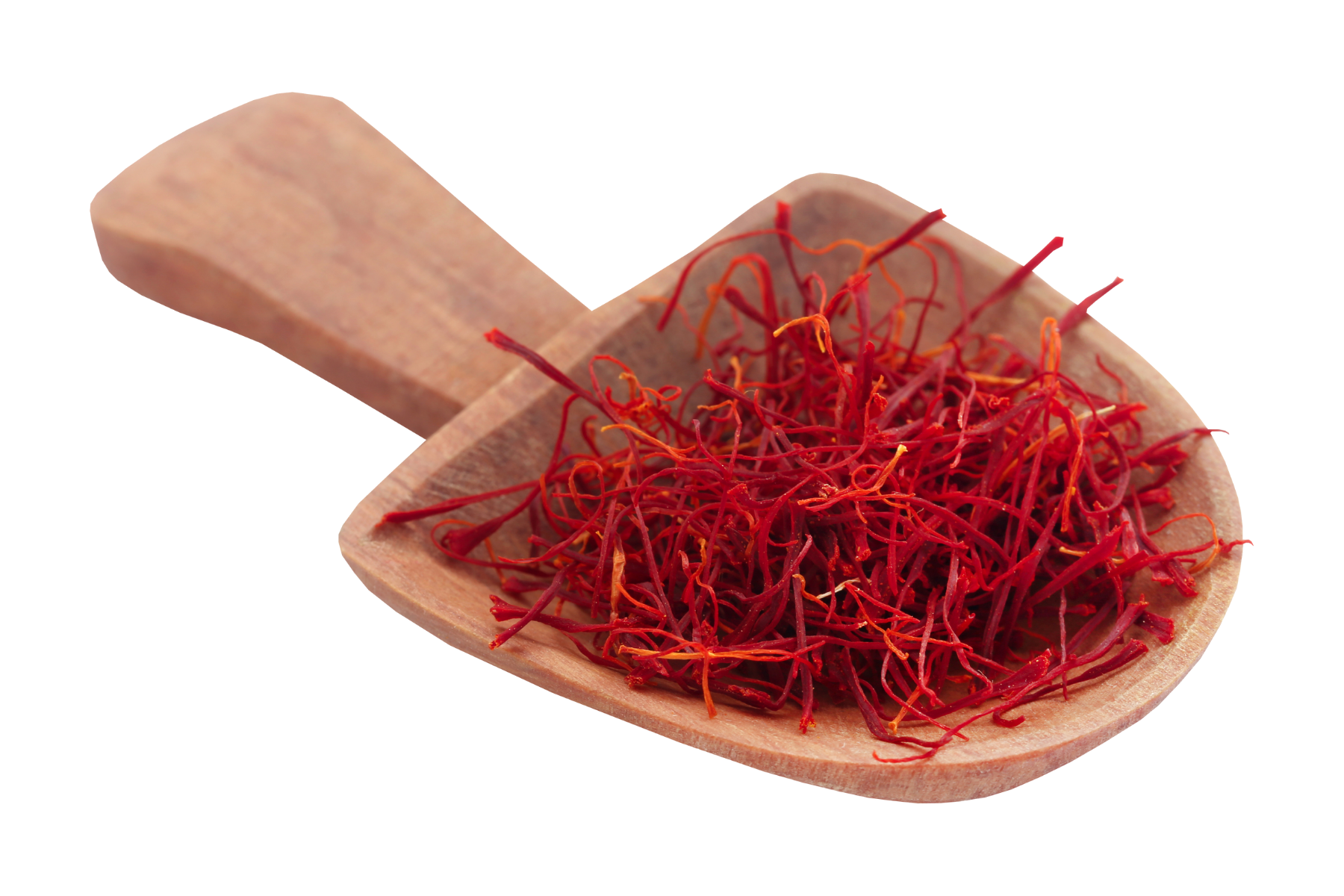 Safran de Taliouine Bio – 1 g | Excellence Marocaine & Qualité Haut de Gamme Harmonical Flavors