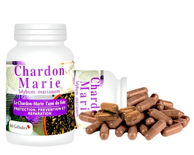 Chardon-Marie Bio – 60 Capsules | Soutien Naturel du Foie & Détoxification