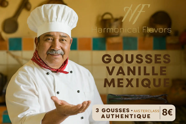 GOUSSES DE VANILLE DU MEXIQUE - Produit Individuel