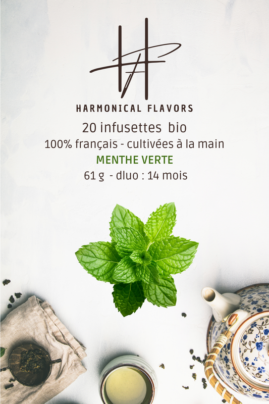 Menthe verte Infusette Bio