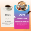 Organic Mushroom Coffee 300g | Café Bio Halal Boost Énergie Concentration