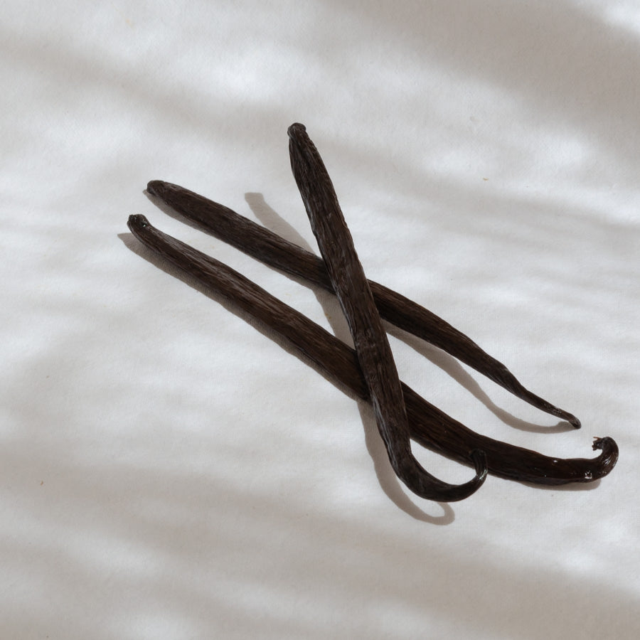 Gousse de Vanille Mexique - Mexican Vanilla Beans